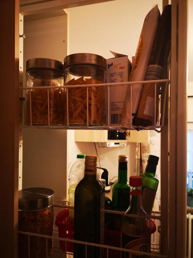 Stellina Apartment Eitorf Bagian luar foto